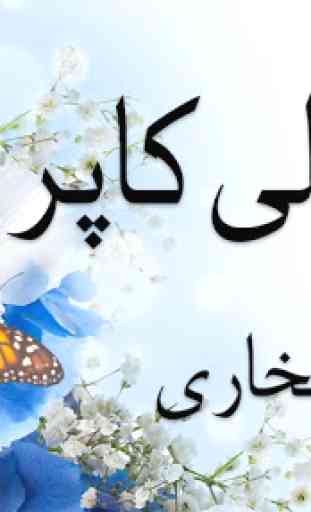 Ghar Titli Ke Par Urdu Novel 3