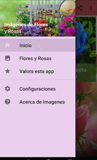 Imagenes de Flores y Rosas 1