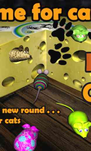Mouse in Cheese: 3D game for cats 1