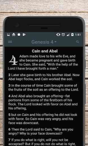 New International Version Bible free offline audio 4