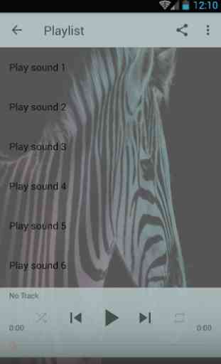 sons Zebra 1