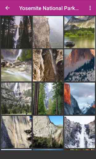 Yosemite National Park 2