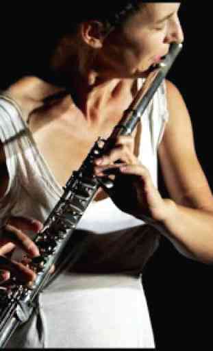 Apprenez à jouer de la flûte 2