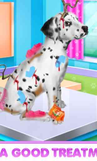 Dalmatian Puppy Day Care 3