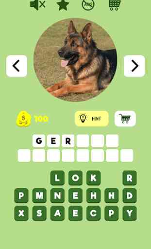 Dogs Quiz - Guess The Dog Breeds 2