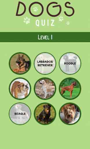Dogs Quiz - Guess The Dog Breeds 3