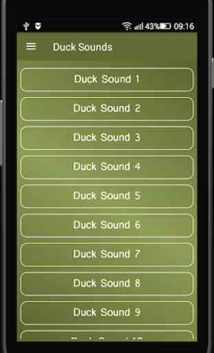 Duck Sounds 1