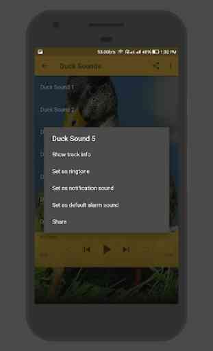 Duck Sounds 3
