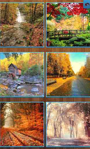 Herbst Puzzles 1