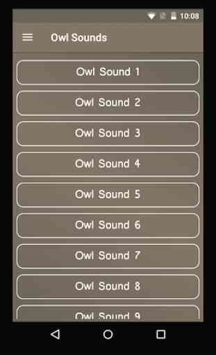 Owl Sounds 1