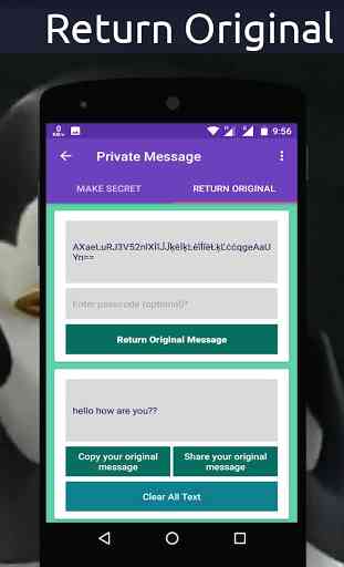 Private Message 3