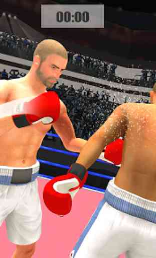 Punch Boxing  Mega Star 3D 2