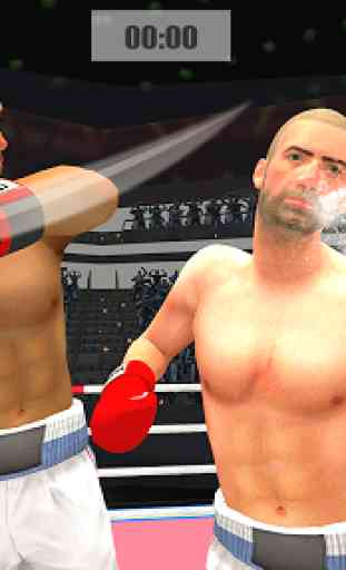 Punch Boxing  Mega Star 3D 3