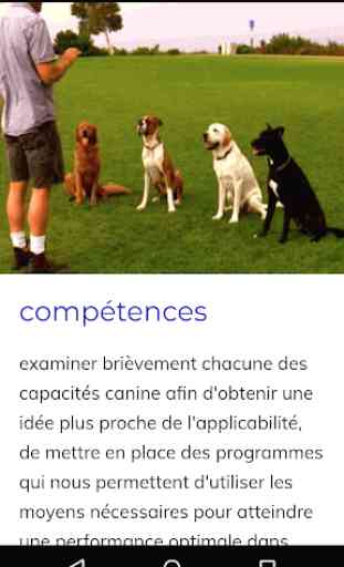 Cours de Dressage Canin 2