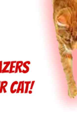 Lazer chase for cats 4