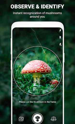 Mushroom identifier App by Photo, Camera 2020 1