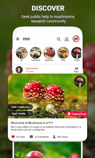 Mushroom identifier App by Photo, Camera 2020 2