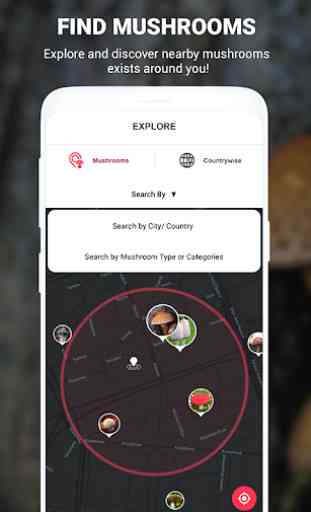 Mushroom identifier App by Photo, Camera 2020 3