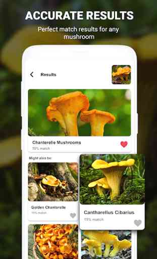 Mushroom identifier App by Photo, Camera 2020 4