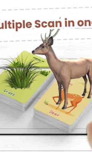 Animal AR 3D Safari Flash Cards 2