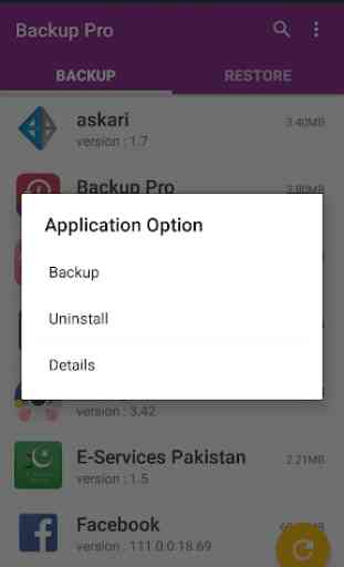 Backup Pro 2