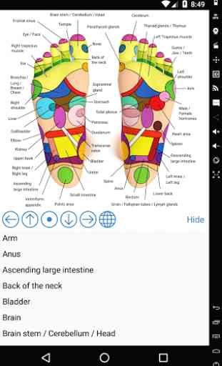 Foot Reflexology Chart 4