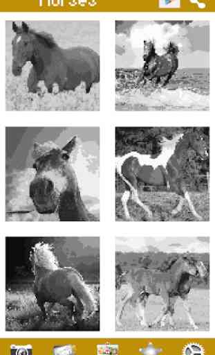 Horses Coloring Book Pixel Pony 4