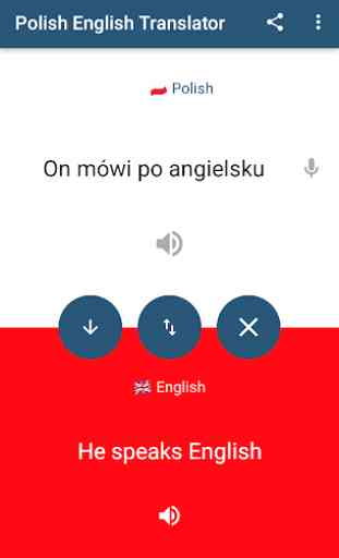 Polish English Translator 4