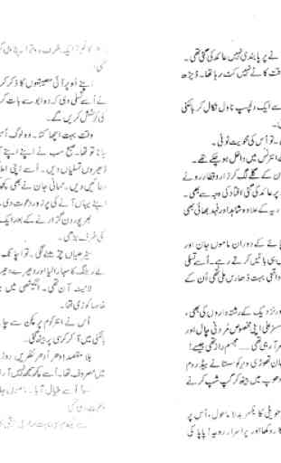 Sham Dhale urdu novel 3