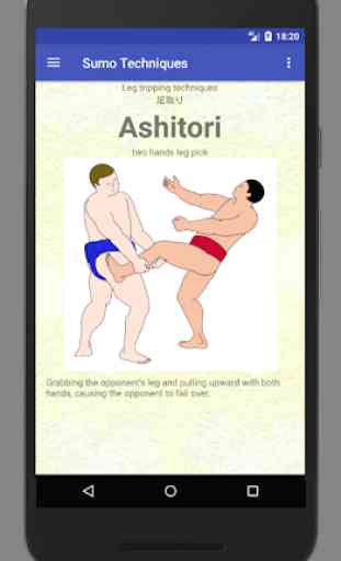 Sumo Techniques 3