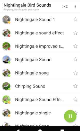 Appp.io - le chant des oiseaux Nightingale 2