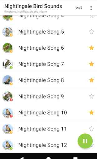 Appp.io - le chant des oiseaux Nightingale 3