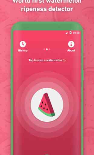 Melony: World First Watermelon Ripeness Detector 1