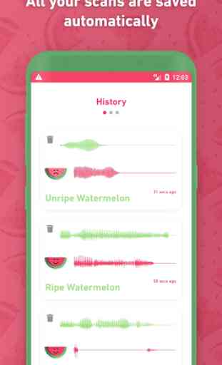Melony: World First Watermelon Ripeness Detector 2