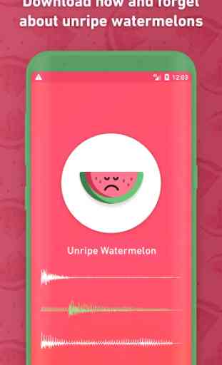 Melony: World First Watermelon Ripeness Detector 3
