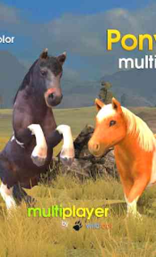 Pony Multiplayer 1