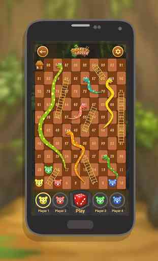 Snakes and Ladders 2D 2