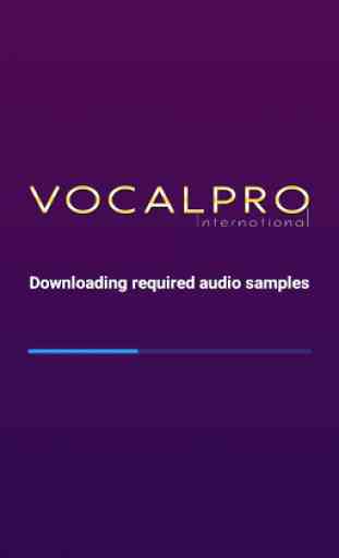 VocalPro 1