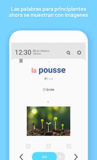 WordBit Francés (para hispanohablantes) 4