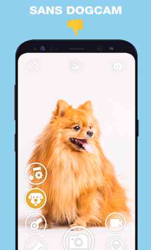 DogCam - Dog Selfie Filters and Camera 3