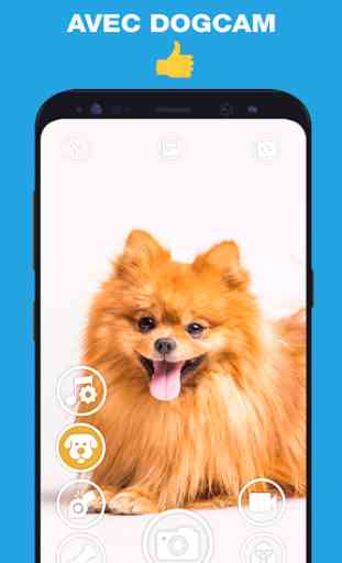 DogCam - Dog Selfie Filters and Camera 4