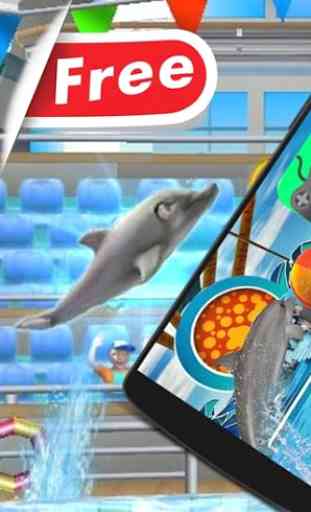 Dolphin Show Fun 1