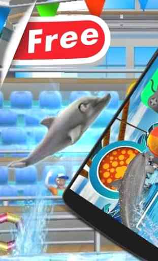 Dolphin Show Fun 4
