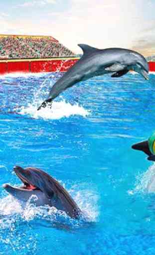 Dolphin Show : Water Park Stunts Dolphin Games 1