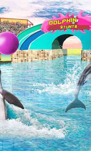 Dolphin Show : Water Park Stunts Dolphin Games 4