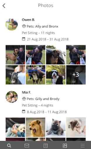 Mad Paws - Pet Sitting and Dog Walking Services 4