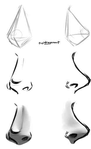 Nose Drawing Tutorials 3