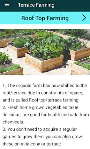 Organic Vegetables Farming 3
