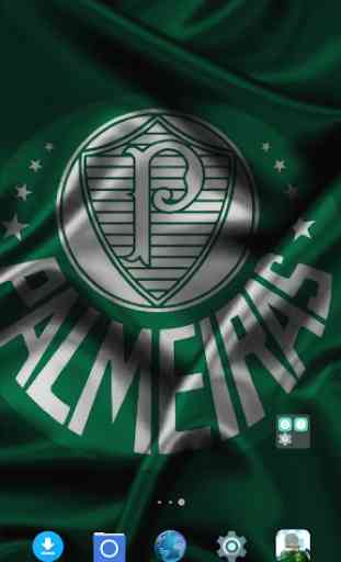 Papel de Parede do Time do Palmeiras 4