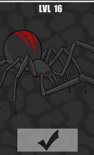 SpiderLand - Spider Web Simulator 1